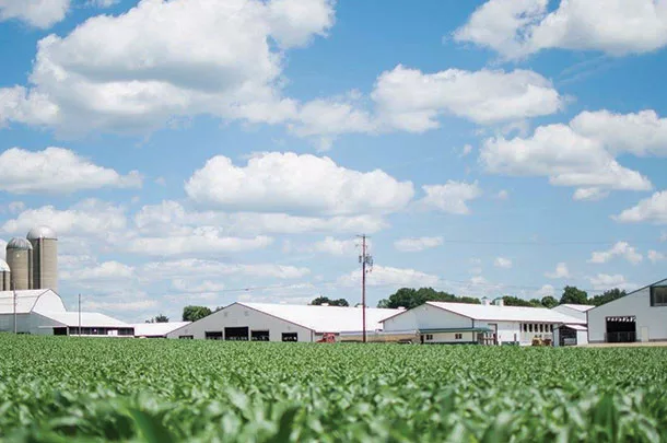 Apple Shamrock Dairy Farms LLC