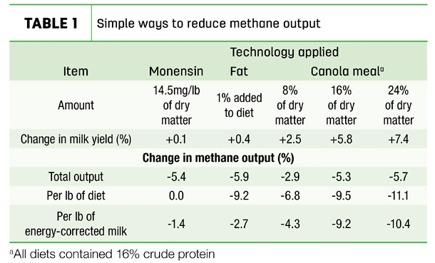 Simple ways to reduce methane output