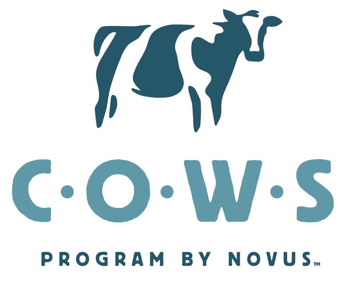 novus cows logo