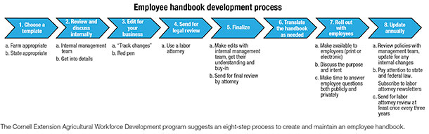 Employee hanbook development process