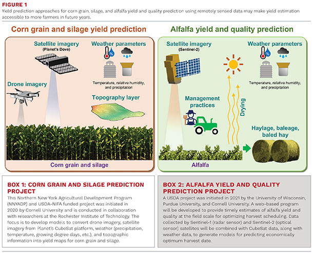 Corn grain and silage yield prediction