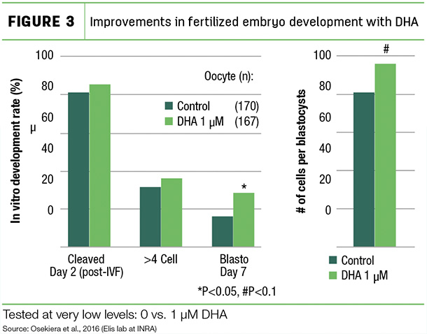 Improvements in fertilized embryo development with DHA