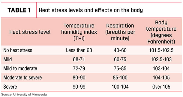 Heat stress levels and effects on the body