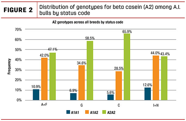 Distribution of genotypes for beta casein