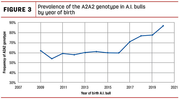Prevalence of the A2A2 genotype in A.I. bulls