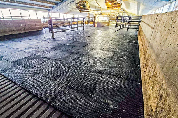 Rubber mats
