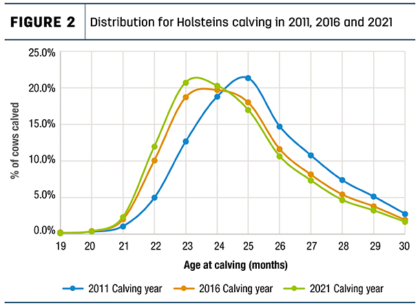Distribution for Holsteins calving in 2011, 2016 and 2021
