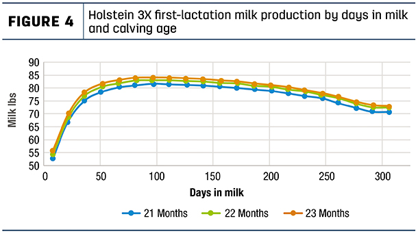 Holstein 3X first-lactation milk production by days in milk and calving age