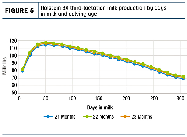 Holstein 3X third-lactation milk production by days in milk and calving age