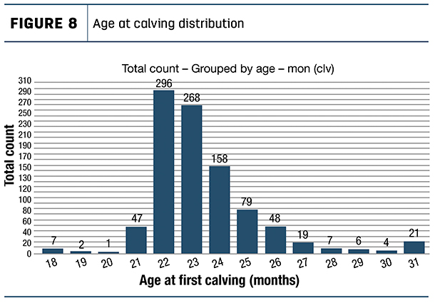 Age at calving distribution