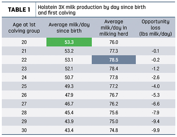 Holstein 3X milk production by day birth and first calving