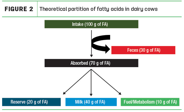Theoretical partition of fatty acids in dairy cows