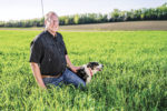 Cover crops are a focal point