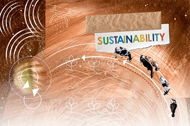 Sustainability