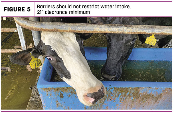Barriers should not restrict water intake