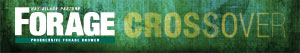 pd-fg_crossover
