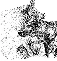 Minnnutriconf