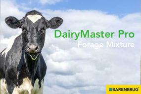 Barenbrug - DairyMaster Pro