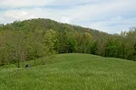 Anderson hillside