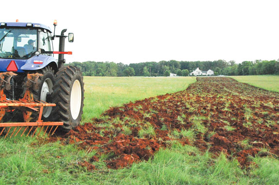 tearing out grass