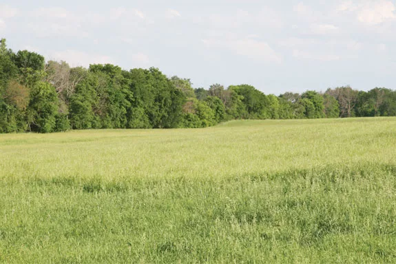 Farmland acres
