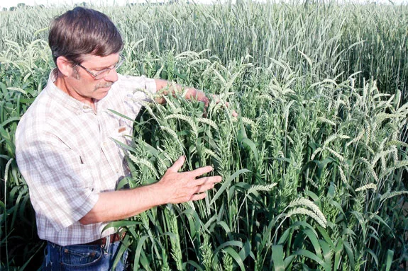 Forage blend