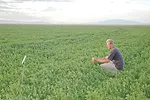 Checking crops