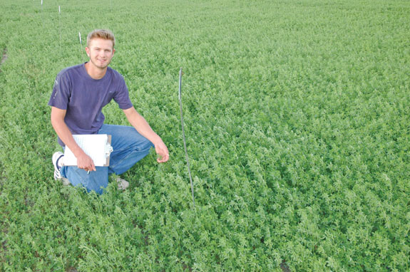 looking at crops