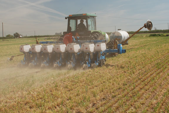 Twin row planter