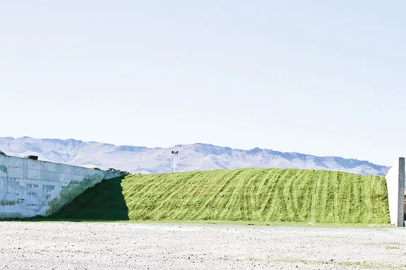 silage bunker