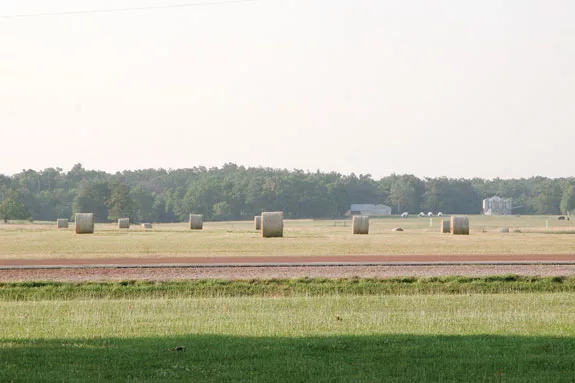 round bales