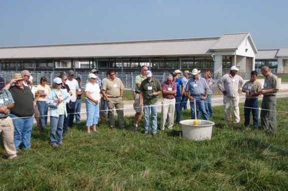 grazing graduates