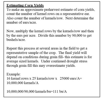 083010_cornyields