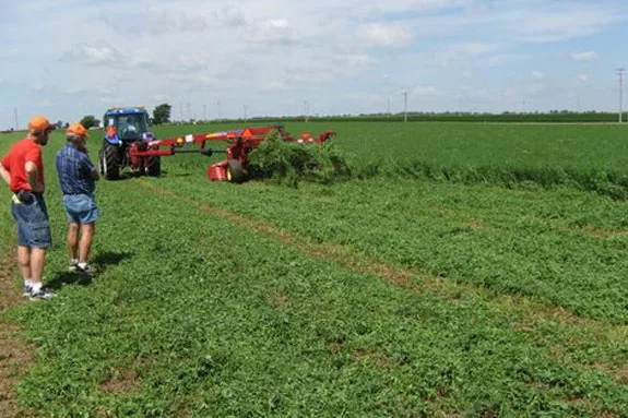 forage expo