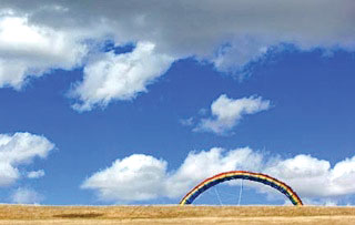 rainbow of hay