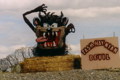 Tasm-Hay-nian Devil