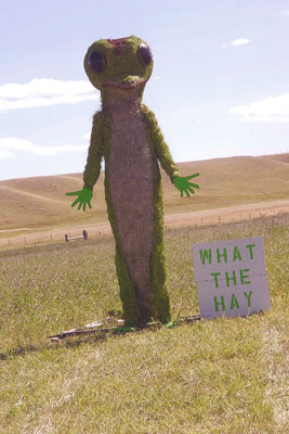 Gecko made out of hay