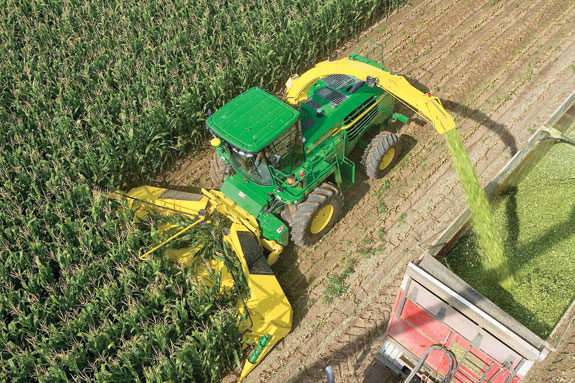 Green chopping corn