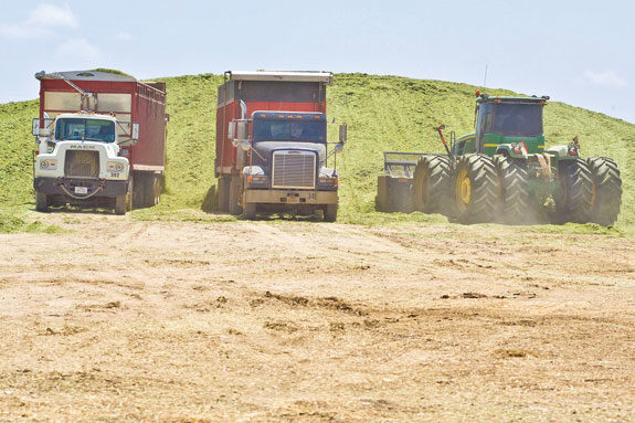 packing silage 