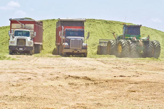 packing silage