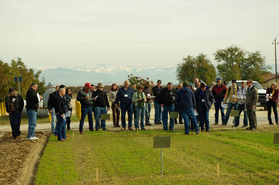 IPM workshop