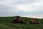 cutting hay