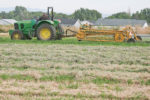 raking hay