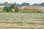raking hay