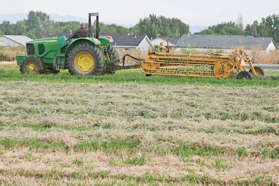 raking hay