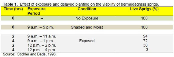 Effect of exposure on viability of bermudagrass sprigs