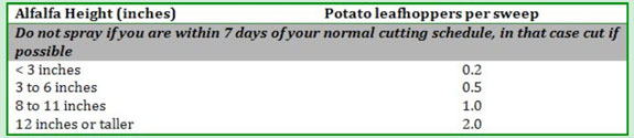 Potato leafhopper table