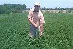 Alfalfa growers in Wisconsin