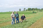 Examining alfalfa