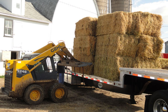 loading hay